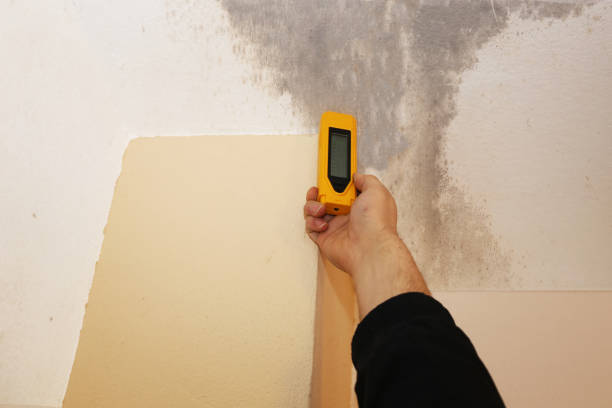 Best Airborne Mold Testing  in Marion, KY